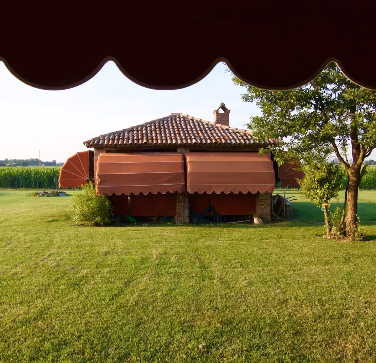 The garden seen from the room
