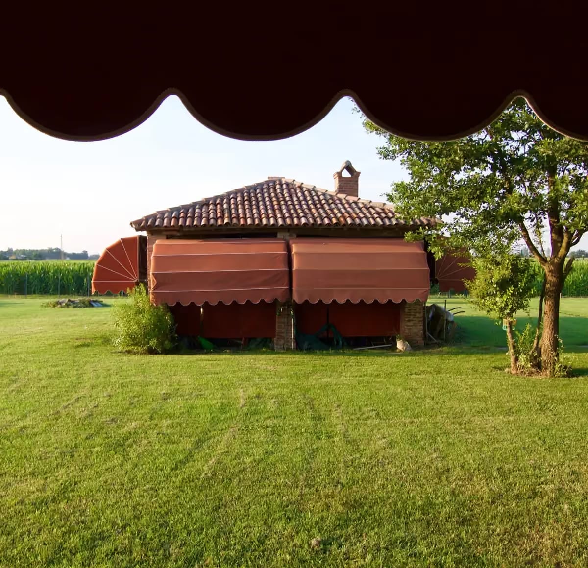 Il giardino visto dalla camera